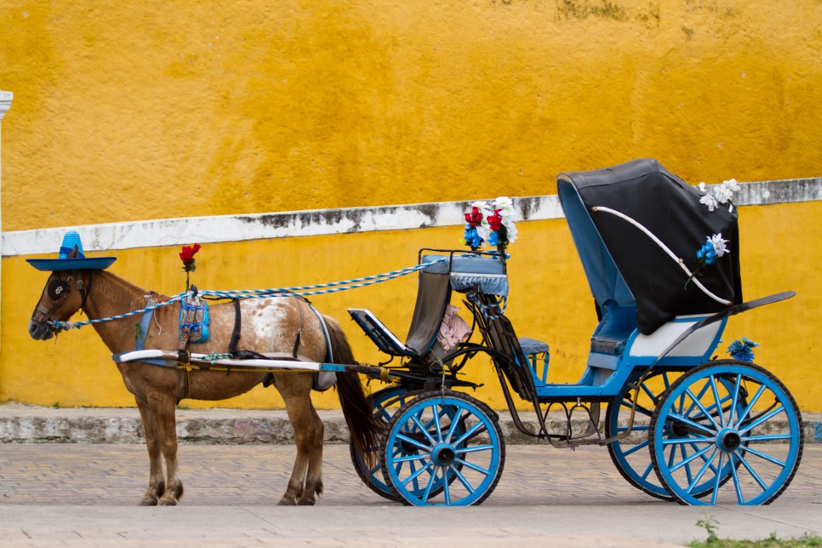 Horse and carriage in Izamal