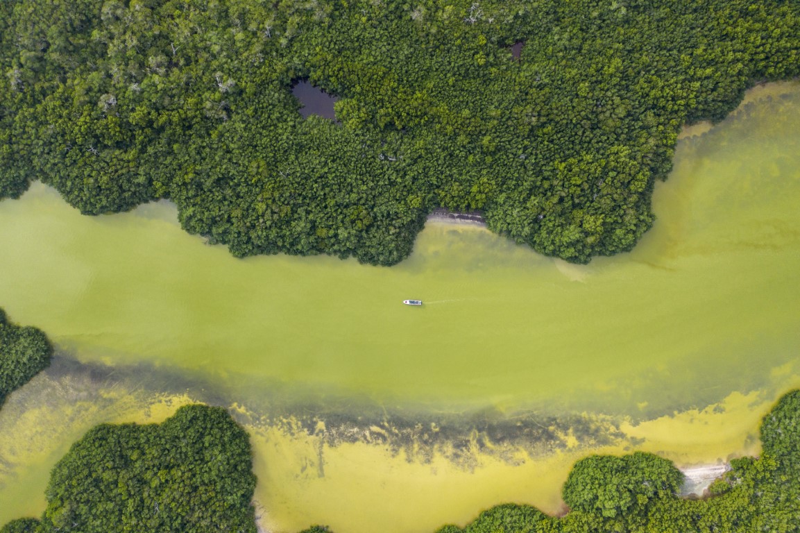 An aerial view of Rio Lagartos in Mexico