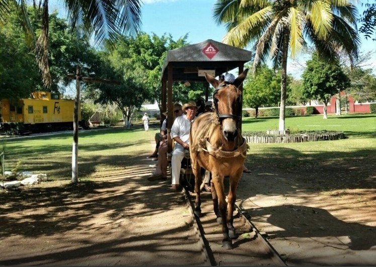 A tour of Hacienda Sotuta de Peon