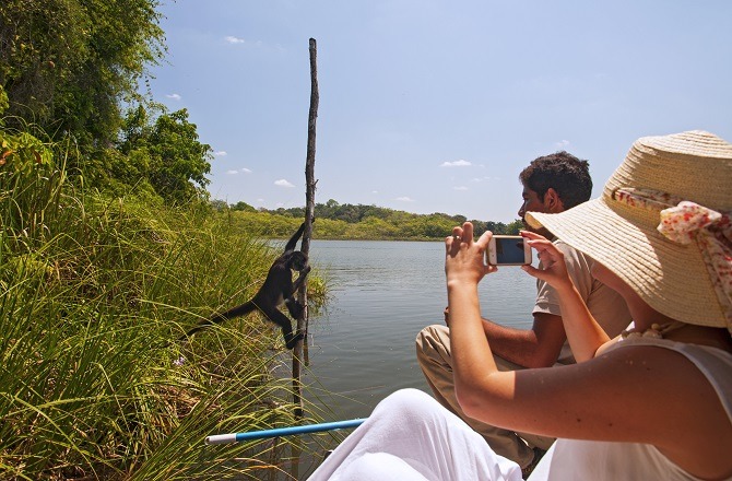 Monkey approaching the boat for feeding