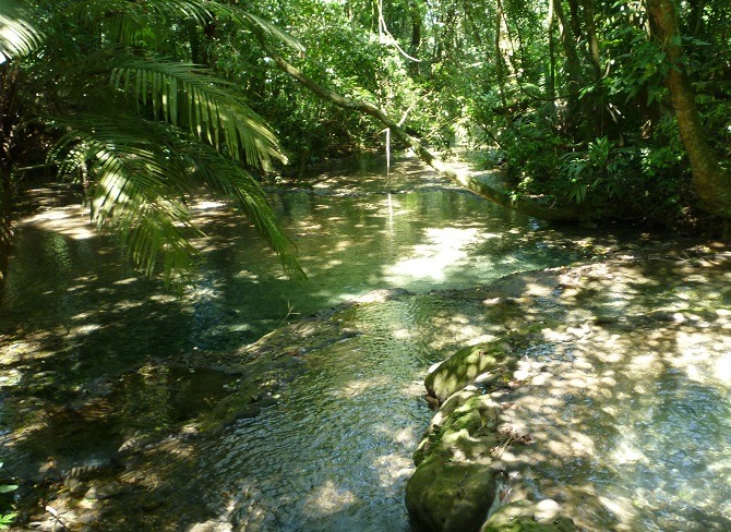 A stream running through the forest near Palenque