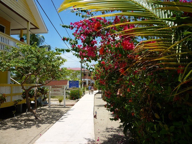 The boardwalk in Placencia Village