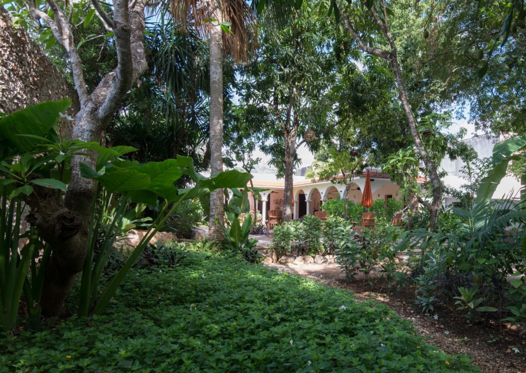 Garden at Posada San Juan Valladolid