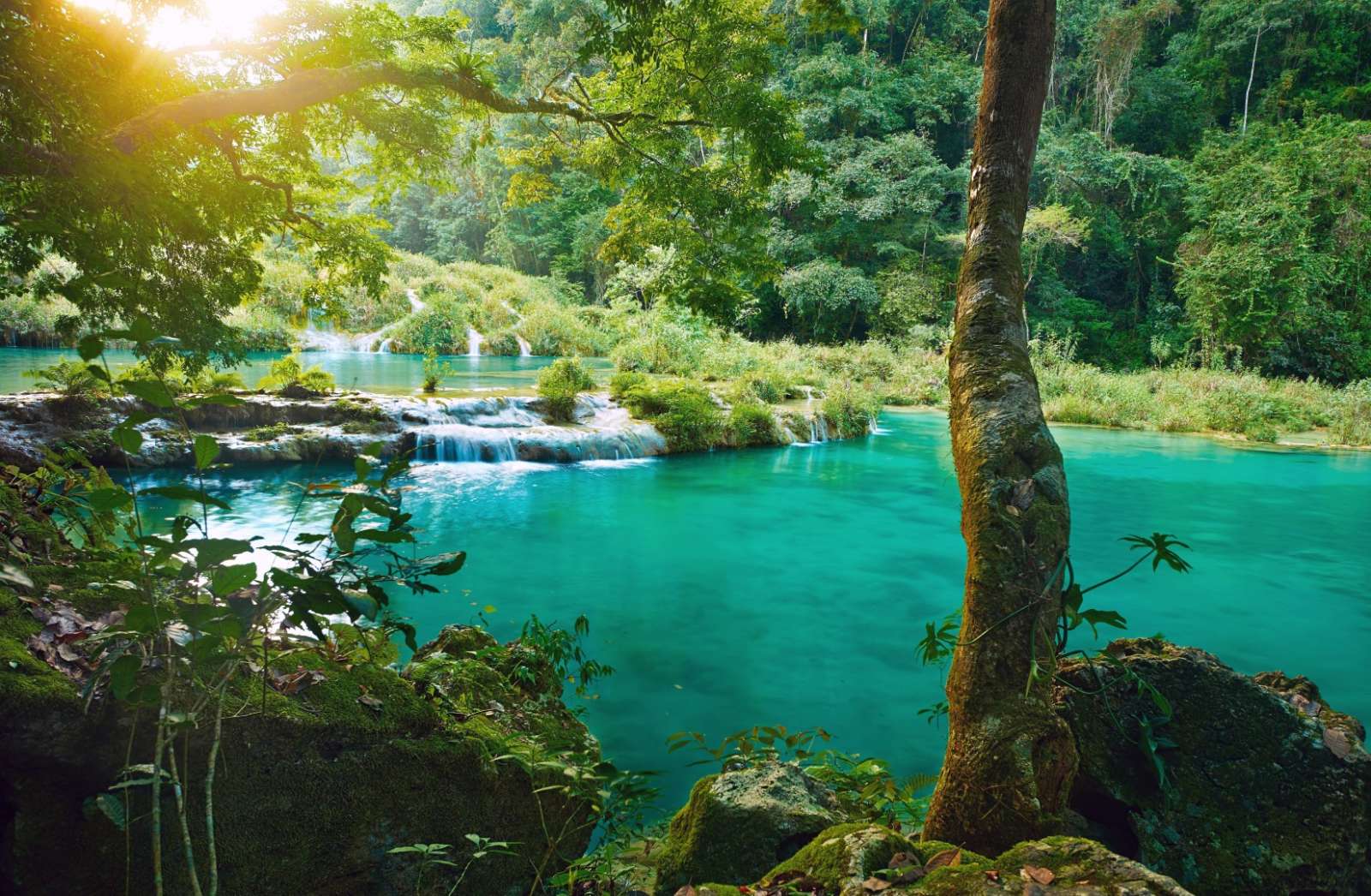 Beautiful natural pool at Semuc Champey in Guatemala