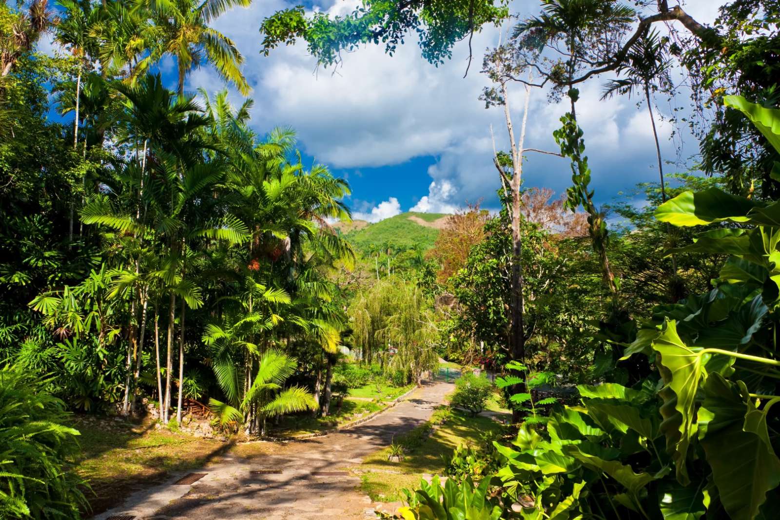 Walking trail at Soroa Botanical Gardens