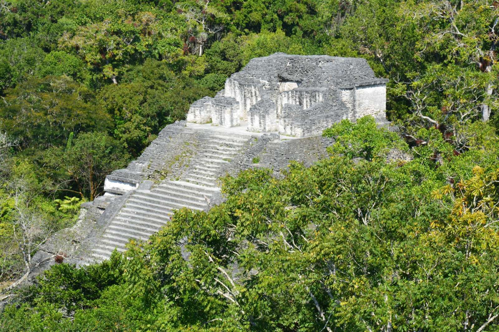 Mayan pyramid at Tikal, Guatemala