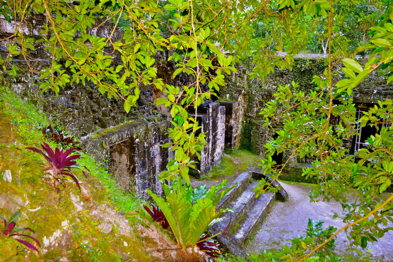 Mayan ruins in dense vegetation at Tikal, Guatemala