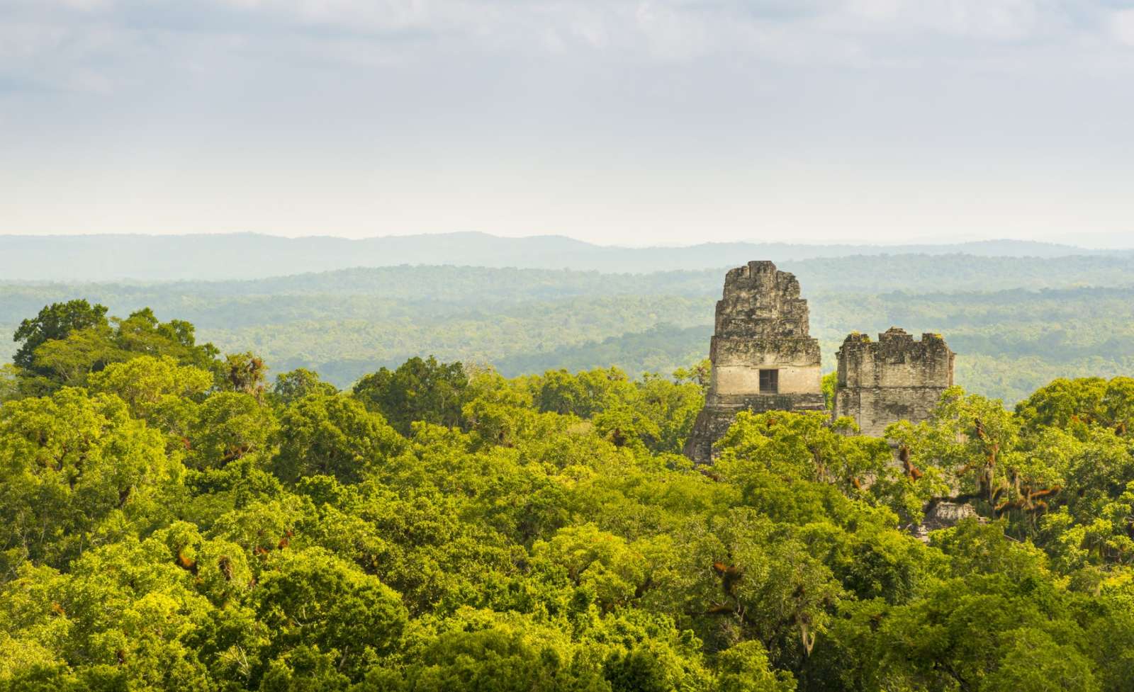 Ruins above jungle canopy at Tikal, Guatemala