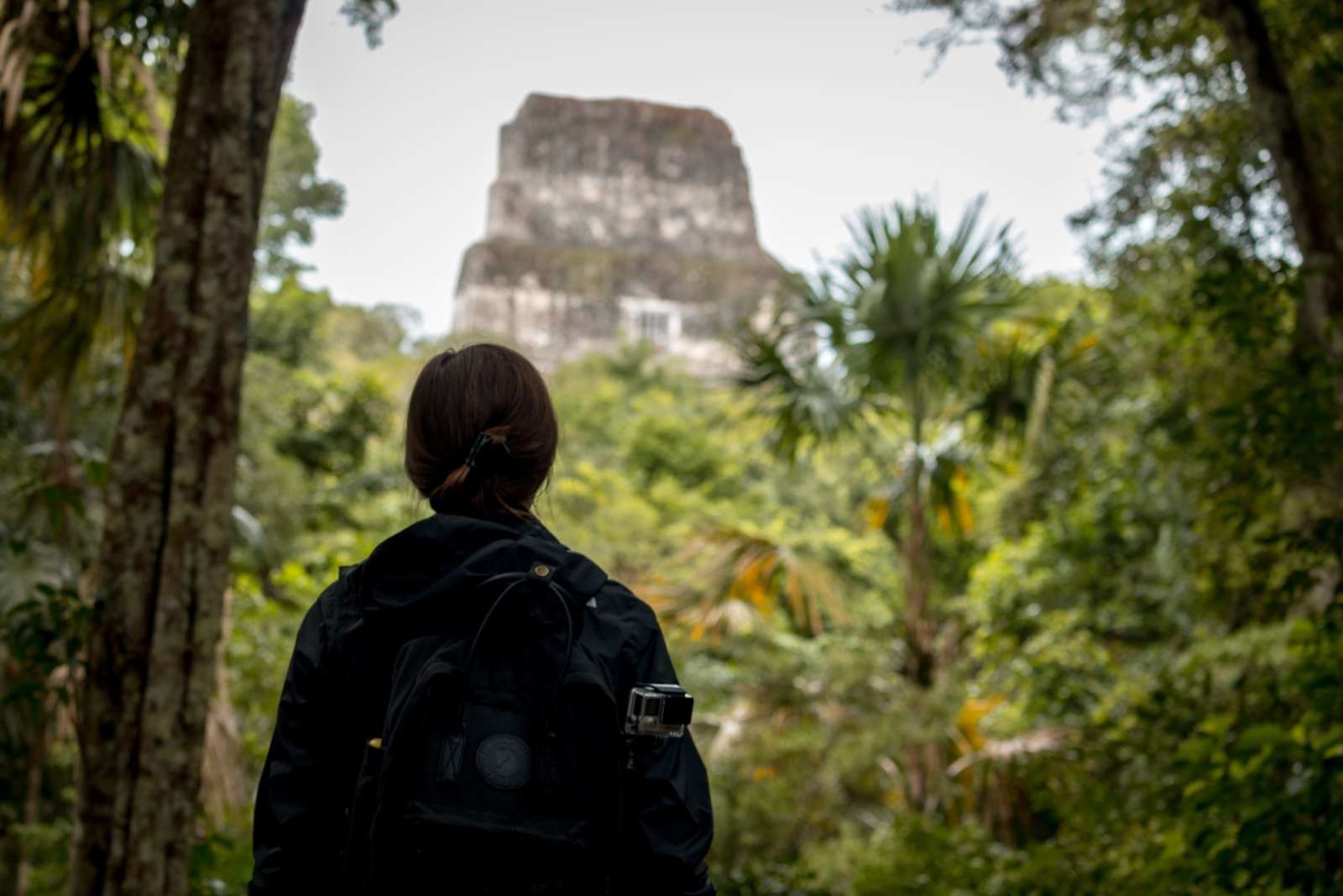 Woman looking temple in Tikal, Guatemala