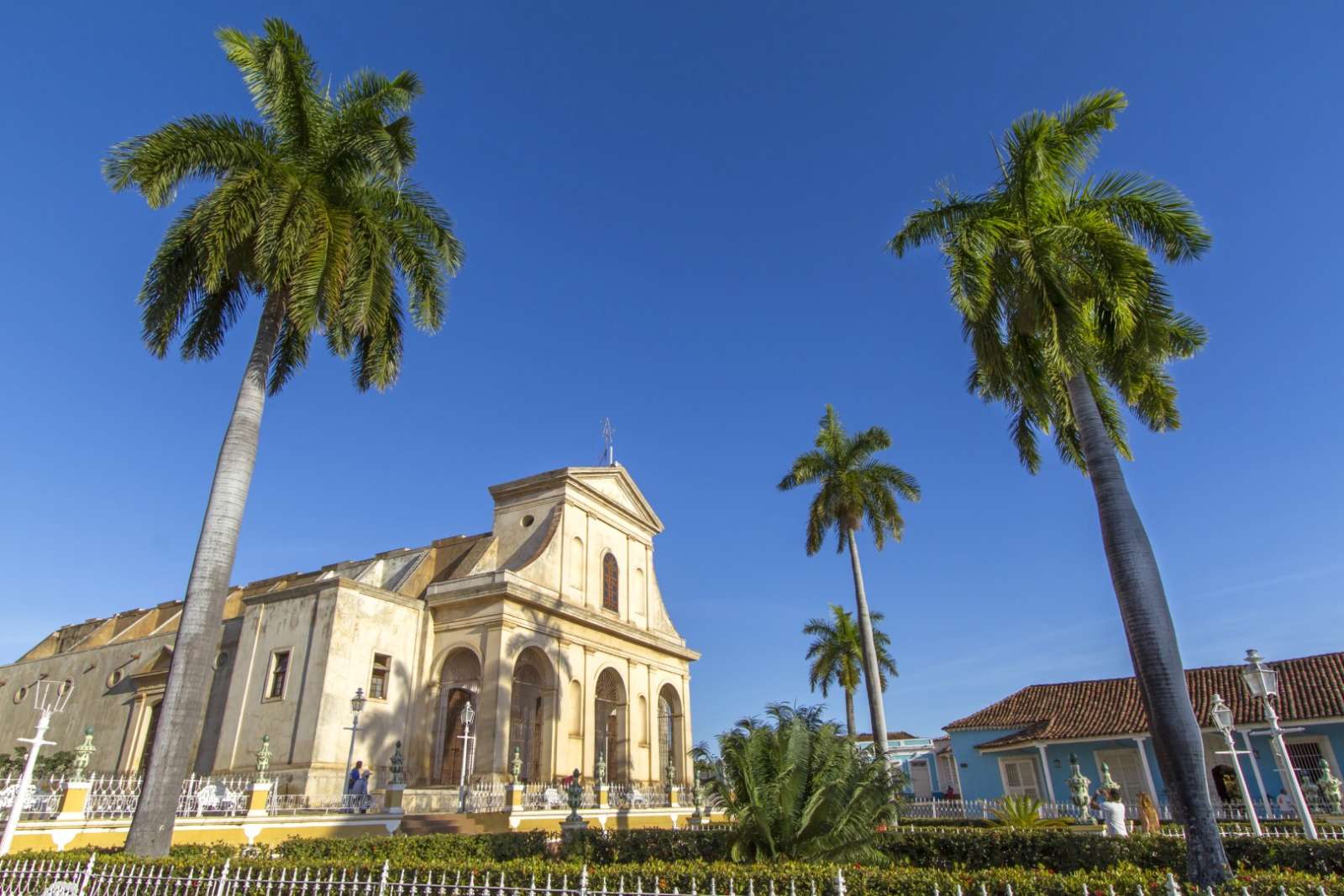 Palm trees in Trinidad, Cuba