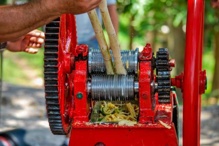 Sugar cane tour in Trinidad, Cuba