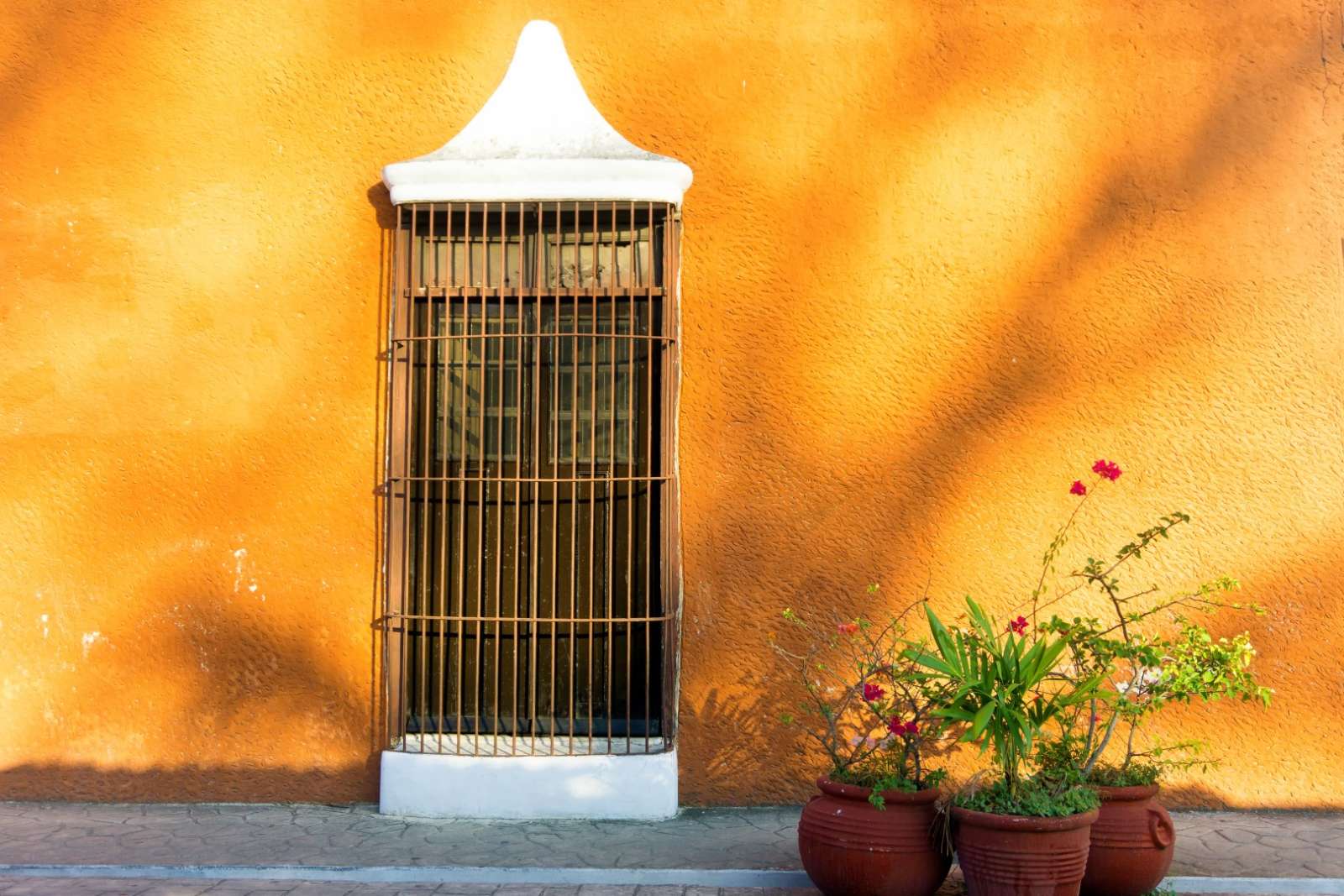 Plants next to yellow wall in Valladolid Mexico