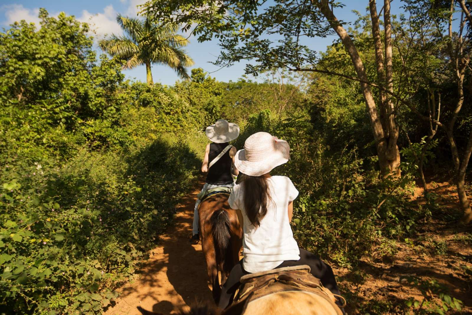 Horseback riding in Vinales, Cuba