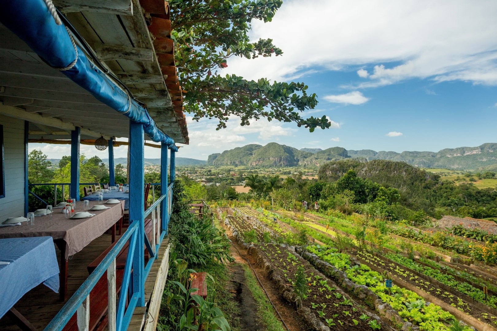Organic farm and restaurant with a view in Vinales, Cuba