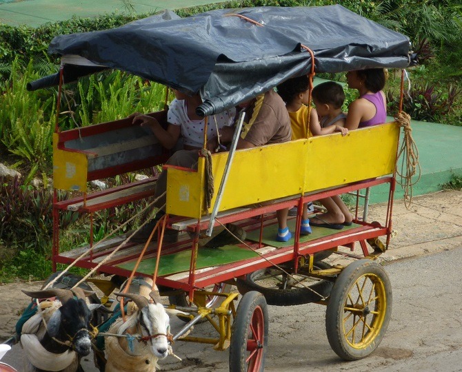 Buggy in Vinales, Cuba