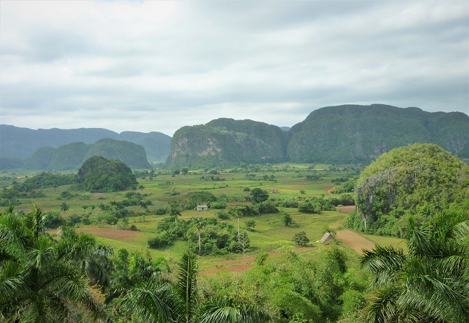 Vinales can be reached by bus from Havana