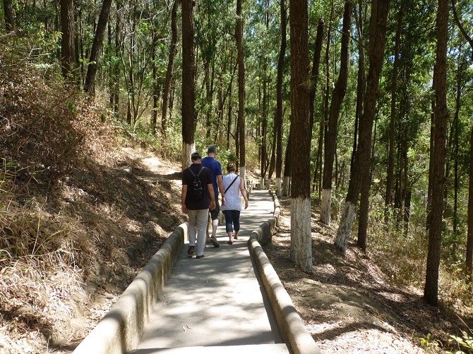 A forest pathway leading to Cerro de la Cruz in Antigua, Guatemala