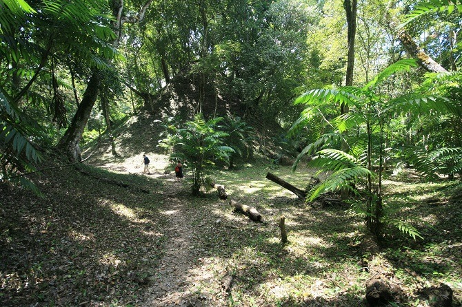 Much of Yaxha is still covered by dense vegetation