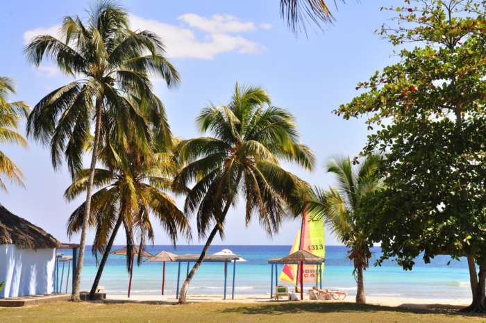 Beach through palm trees at Hotel Playa Larga