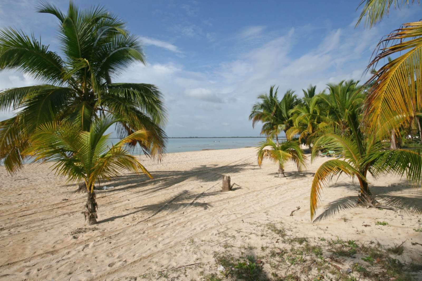 Deserted beach at Hotel Playa Larga