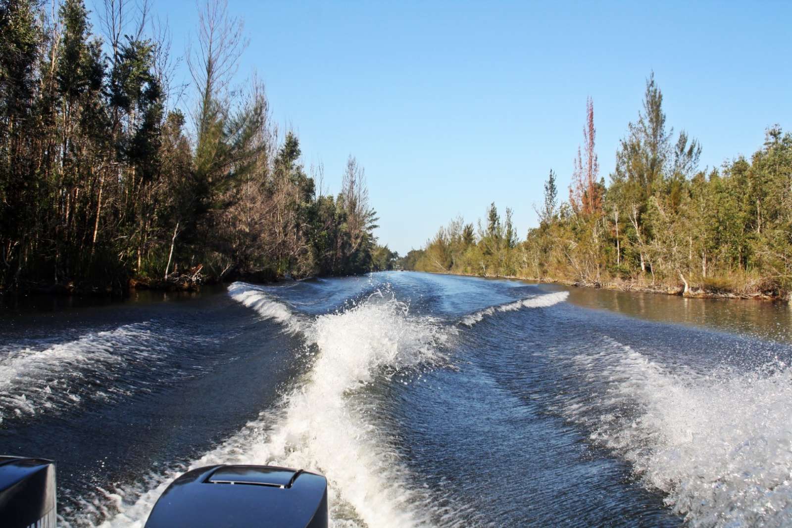 Boat trip in the Zapata Peninsula