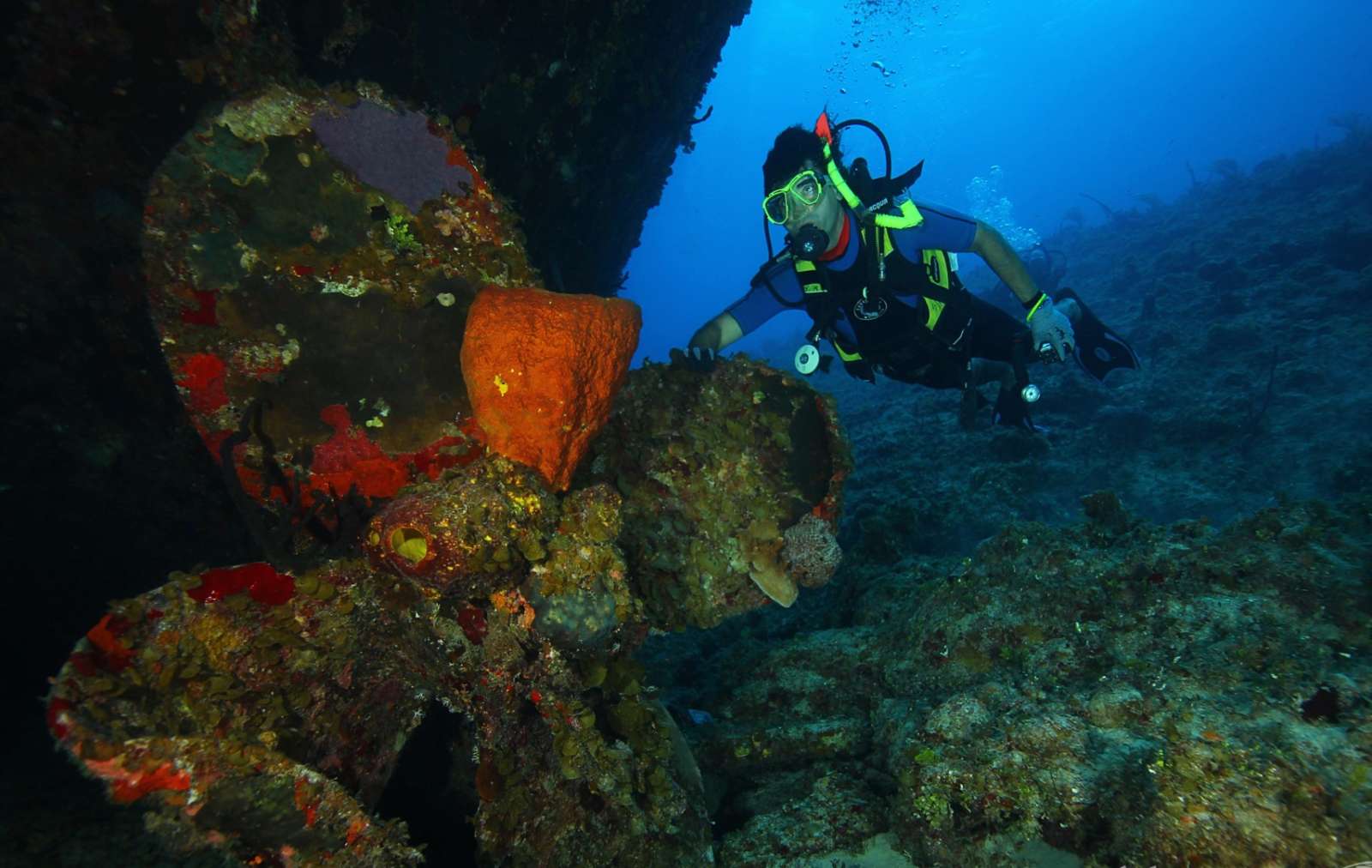 Zapata Peninsula Cuba Scuba Diving