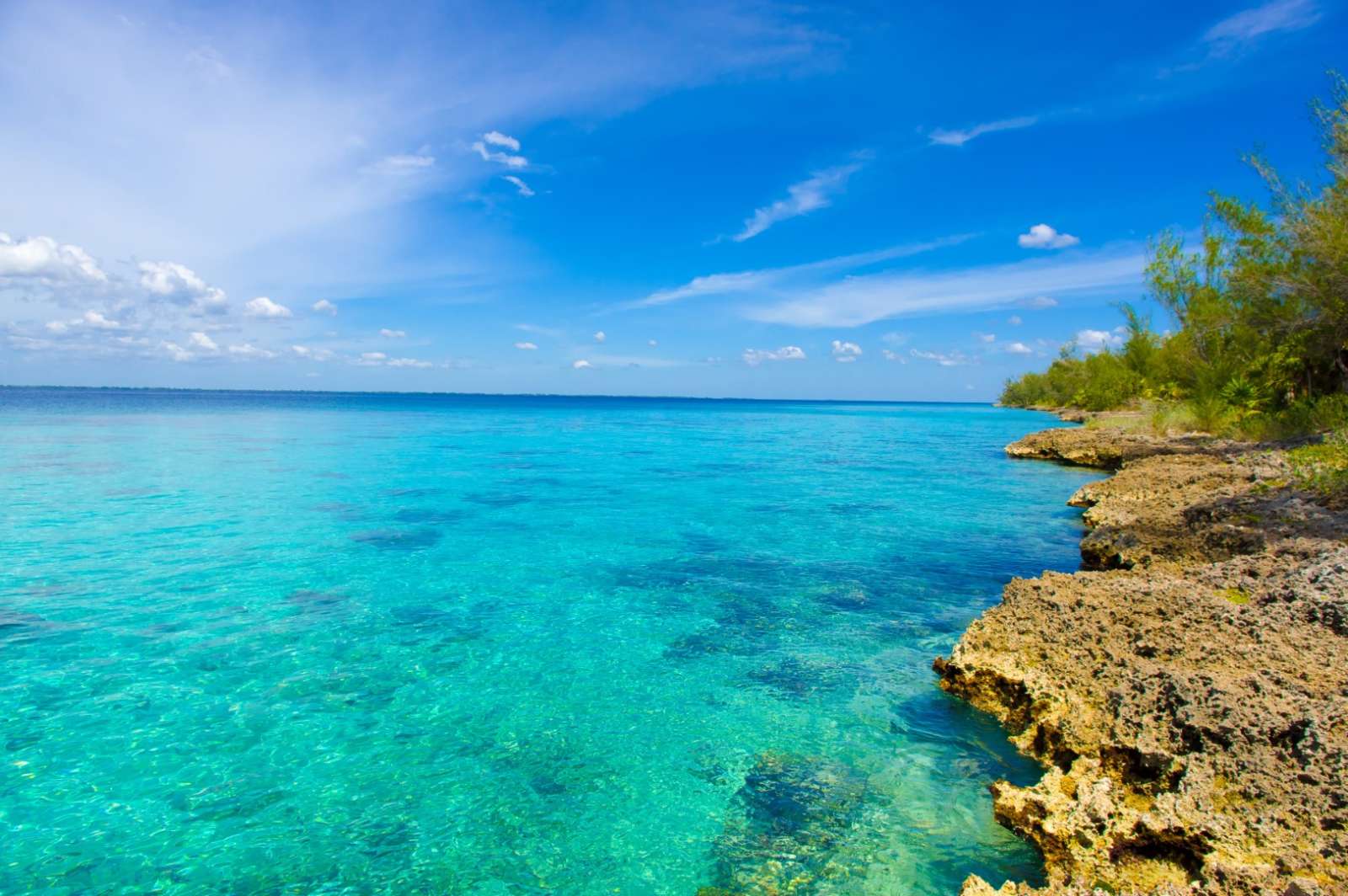 Залив свиней куба. Куба бухта Кочинос. Playa Giron Куба. Залив Кочинос Куба. Карибское море Куба залив свиней.