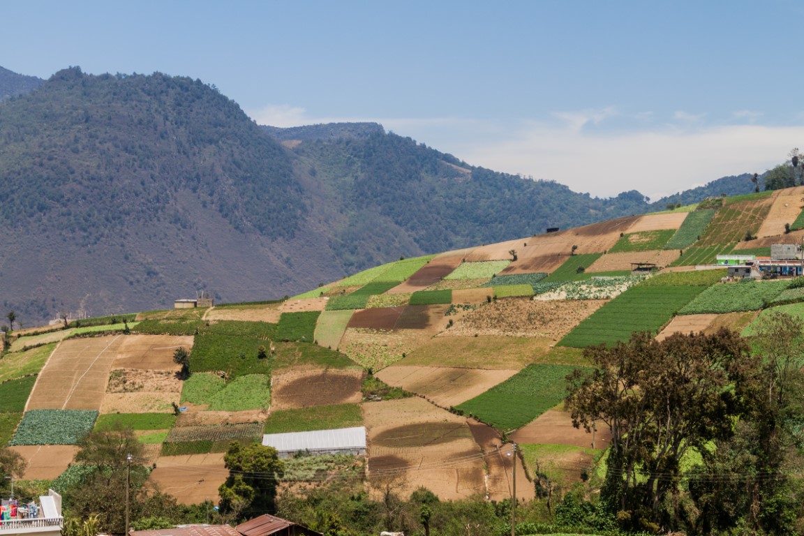 Vegetable fields outside Zunil in Guatemala