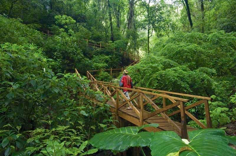 Nature trail leading to the Antigua glamping site