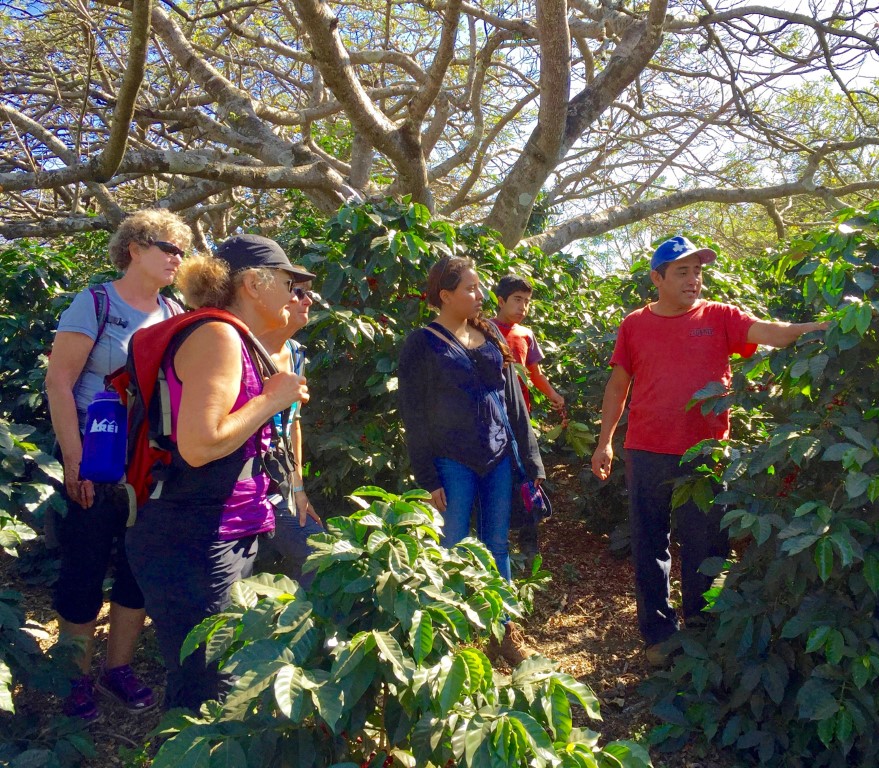 Visiting a coffee farm while hiking in Guatemala