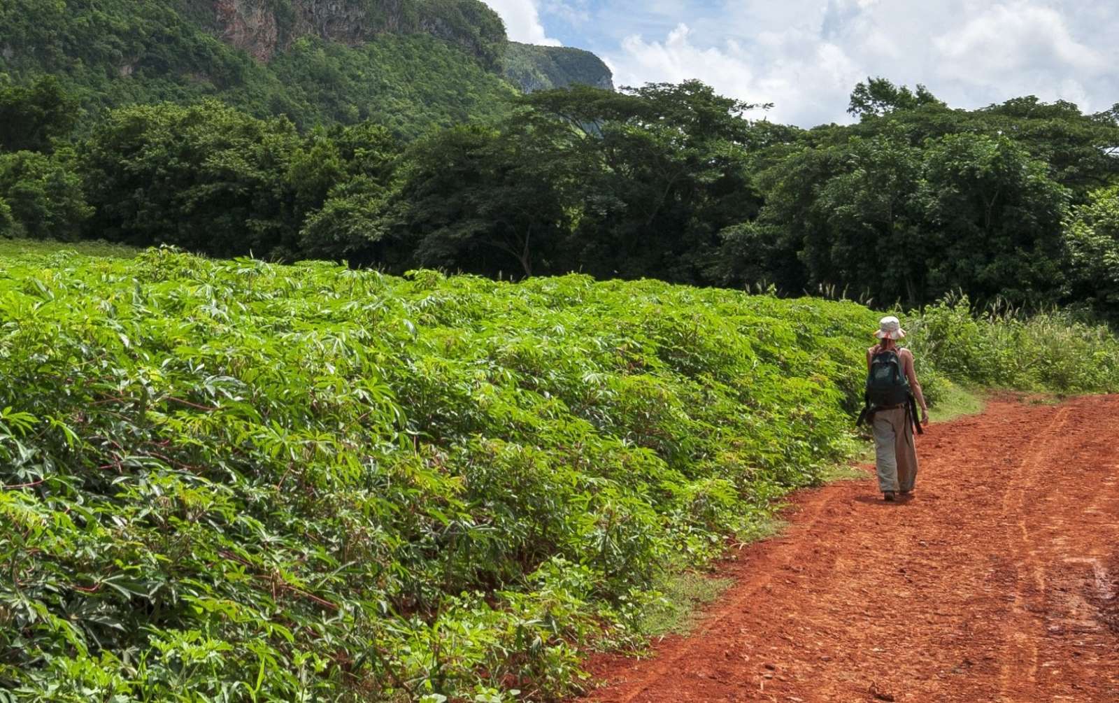 Hiking in the Vinales Valley of Cuba