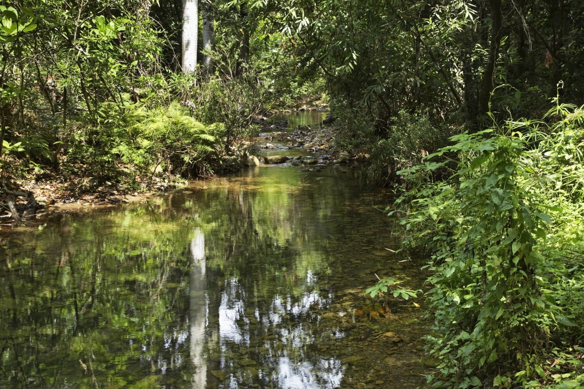 Rio Guaurabo near Cubano Park, Trinidad