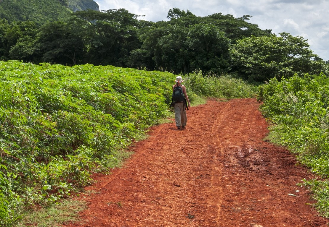 A woman hiking alone in the Vinales Valley