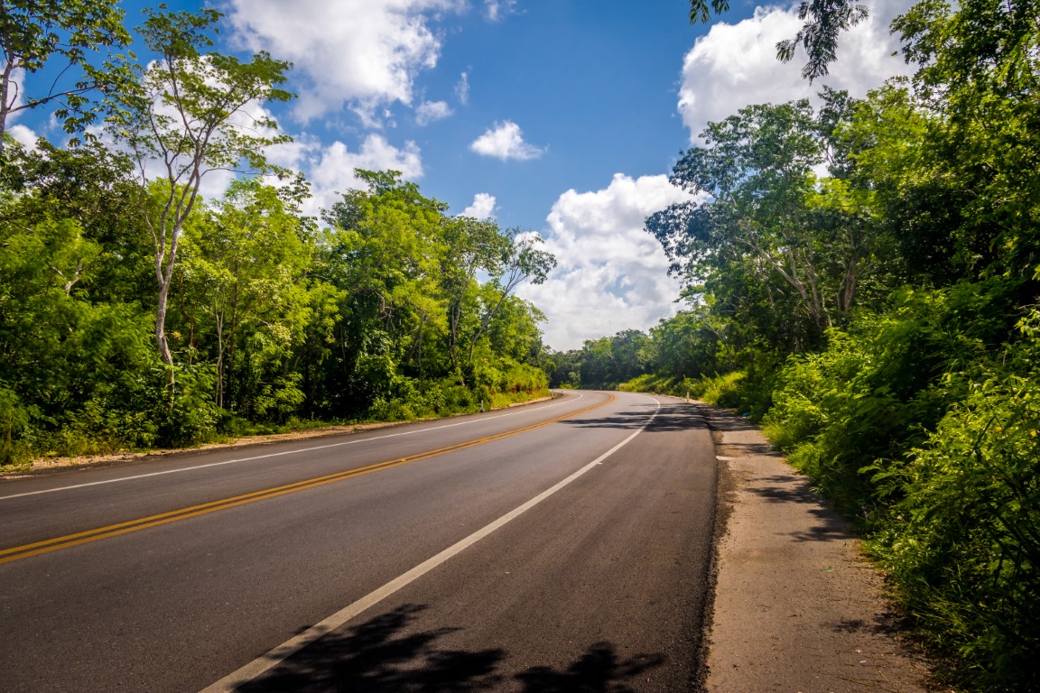 A quiet road surrounded by jungle in the Yucatan Peninsula