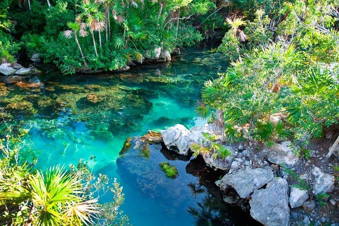 Natural pool at the Sian Ka'an biosphere