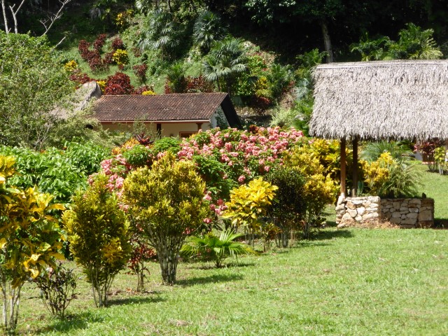 Garden at Candelaria Lodge