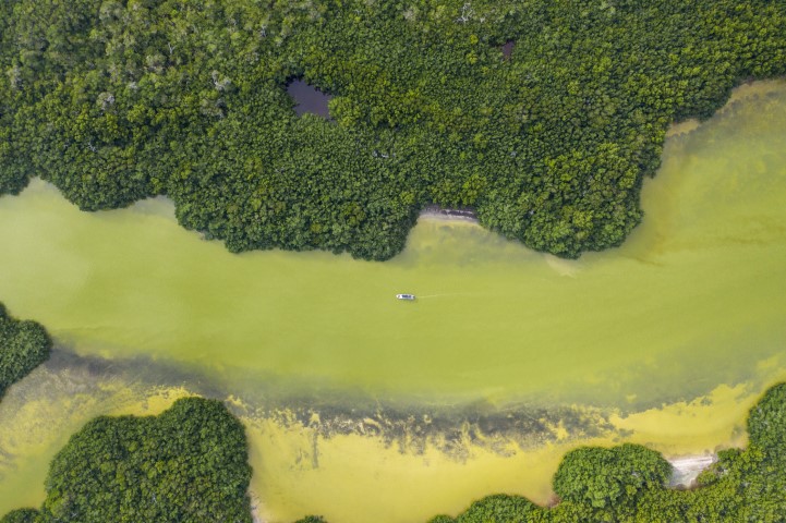 An aerial view of River Lagartos in Mexico