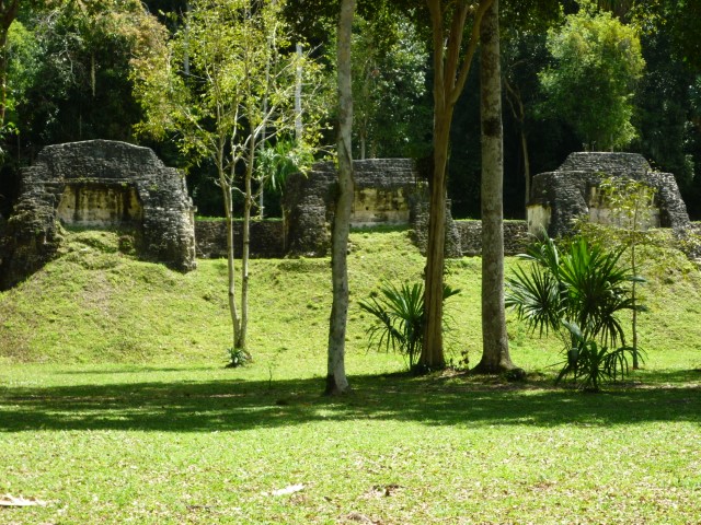 Grassy ruins at Tikal, Guatemala