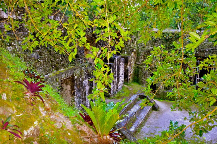 Mayan Ruins In Tikal National Park