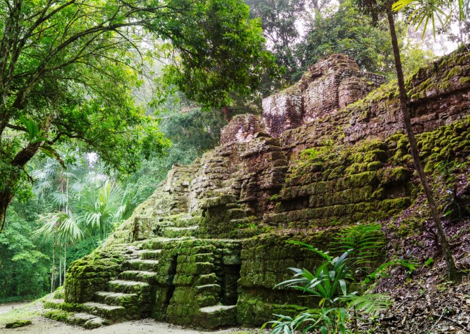 Moss covoured ruins at Tikal