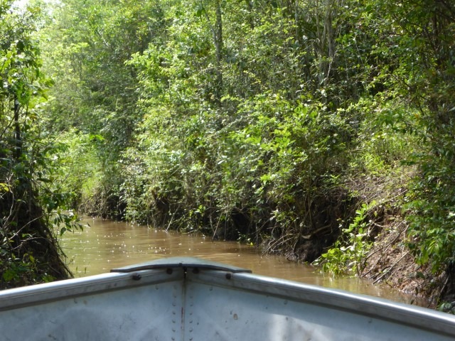 Boat journey to Laguna Petexbatun