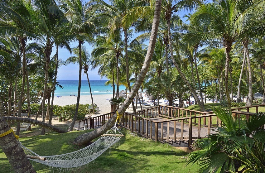 Hammock and steps leading down to the beach