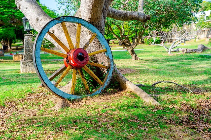 Wagon wheel against tree in Josone Park