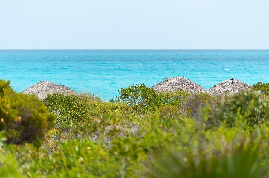 View out to sea over palapas