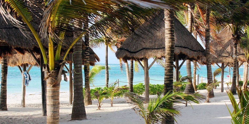 View of the sea through palm trees in Akumal, Mexico