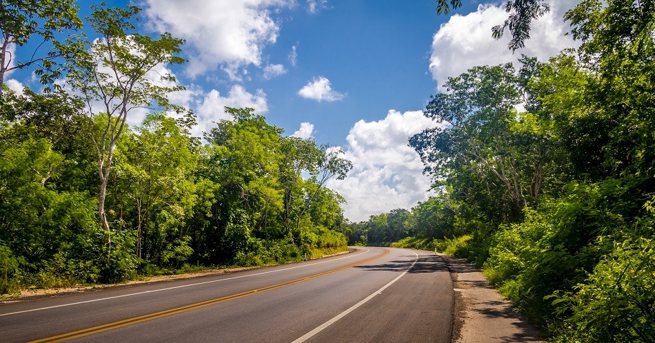 An empty road in Yucatan