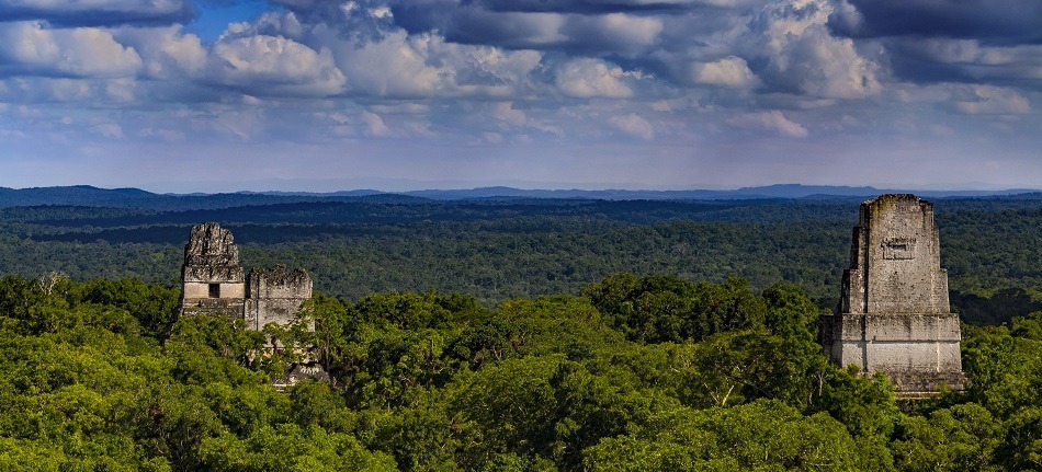 Mayan ruins in jungle