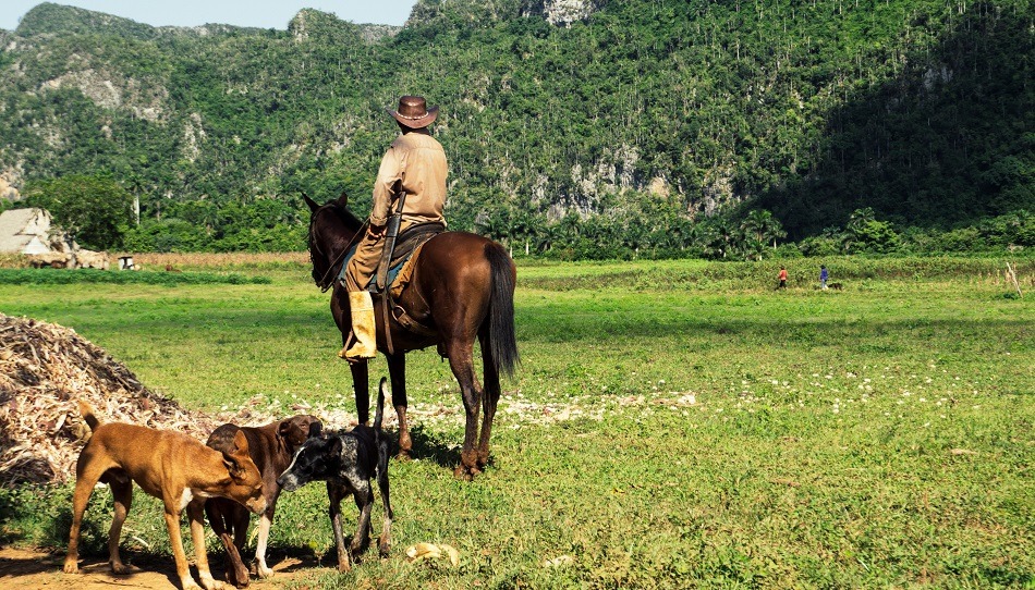 Visiting Vinales as part of a Cuba tour