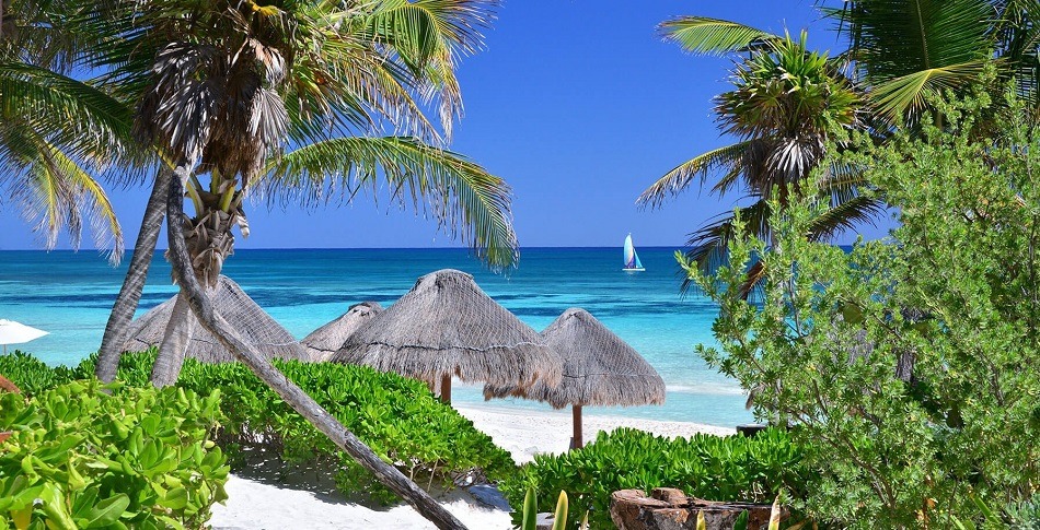 Palm trees and beach in Tulum Mexico