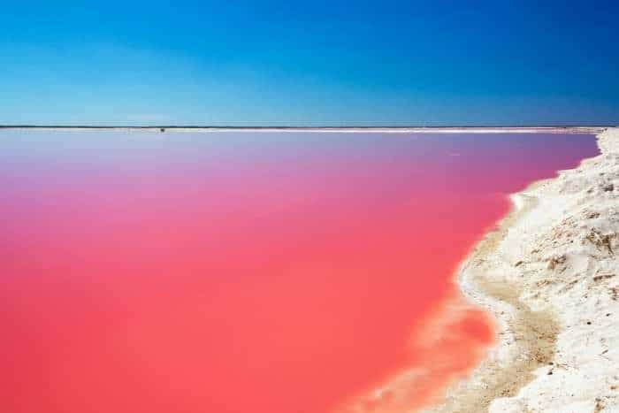 Las Coloradas Pink Lakes